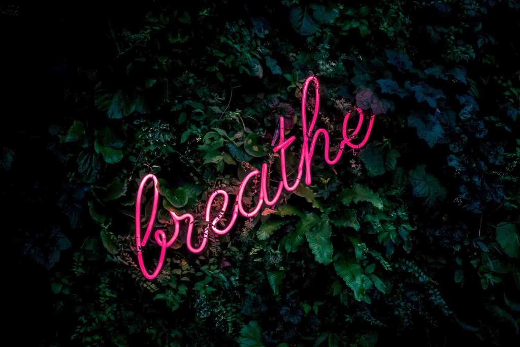 una siepe con una scritta neon "breathe"