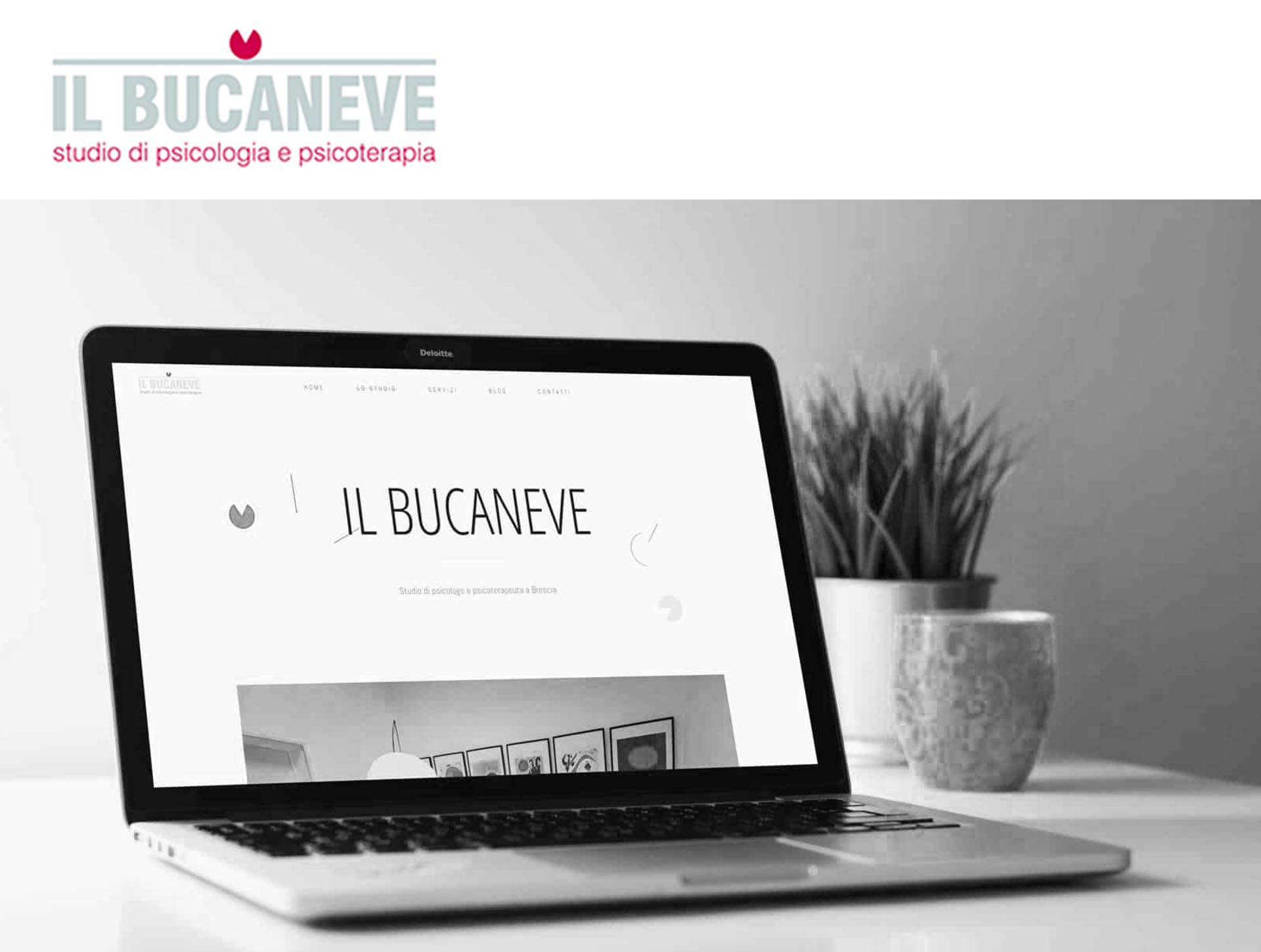 IL BUCANEVE